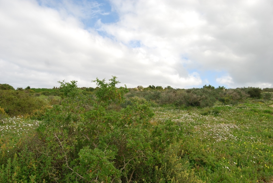 0 Bedroom Property for Sale in Shark Bay Estate Western Cape